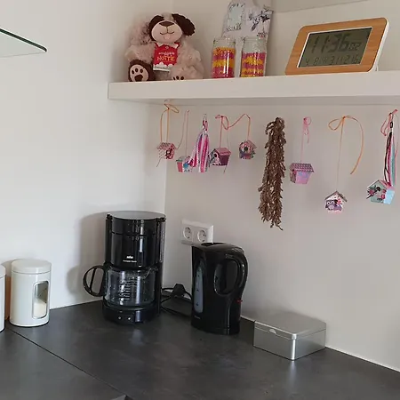 Aangepast Sandra Mindervaliden *