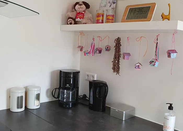 Aangepast Sandra Mindervaliden *