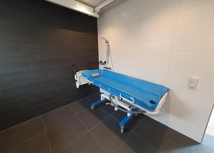 別荘 Aangepast Sandra Mindervaliden